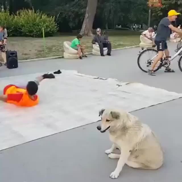 d5e00ee