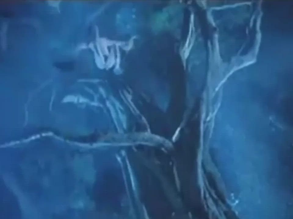 Boobs Chinese Thick gif