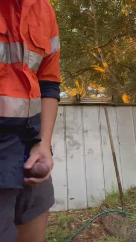In the yard