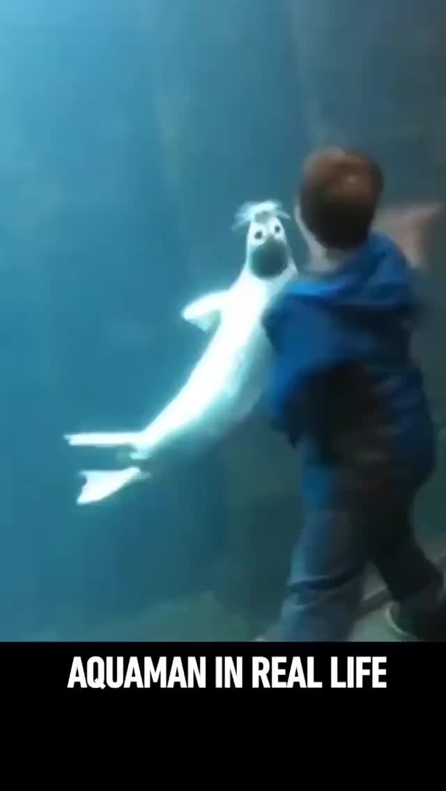 9gag 50225891 384406315649879 2270595102877818688 n