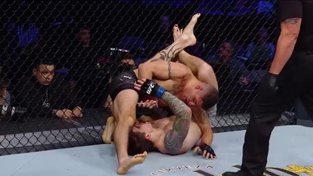 Vicious Ground & Pound