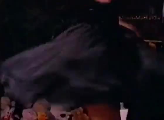 Desires of Innocence (1997) DVDrip, Gabriella hall