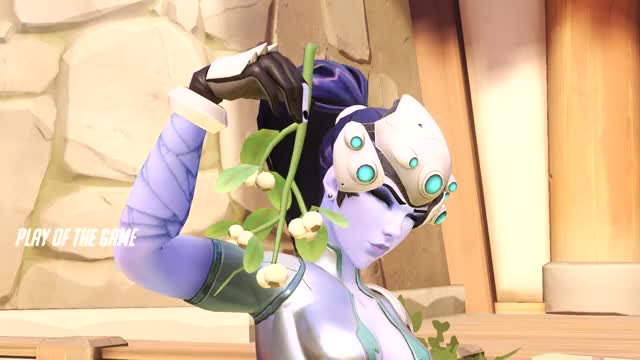 widow 6 17-11-26 21-24-44