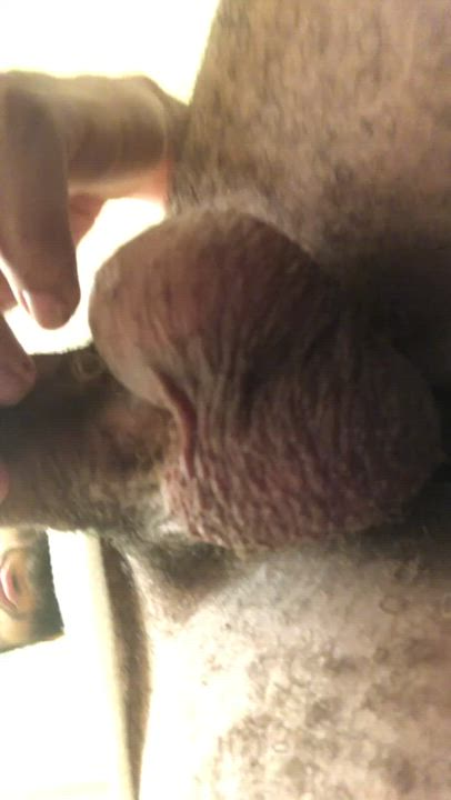 Apply tongue here