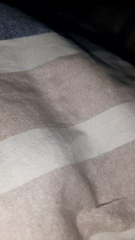 What would you do if you woke up next to this?