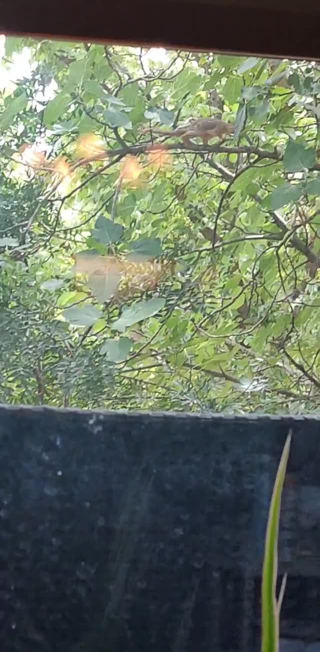 Snapchat-1401083914