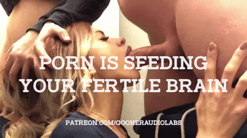 Porn is seeding your fertile brain.