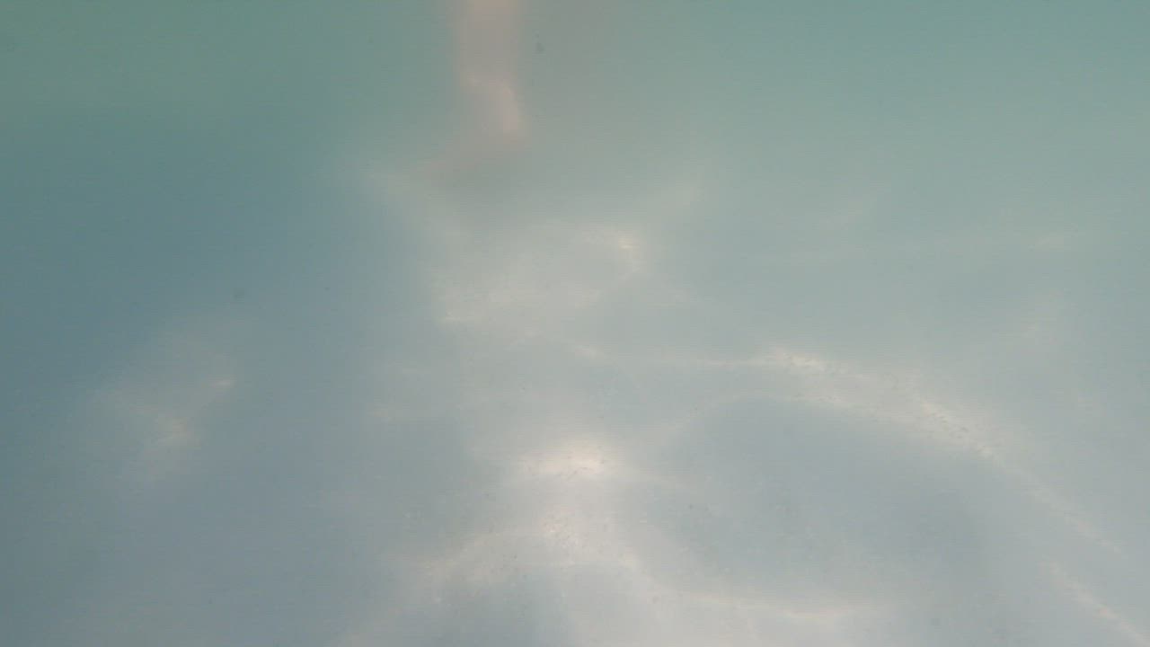 Ass Big Ass Bikini Booty POV Pawg gif