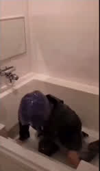 Bath Bathroom Cum gif