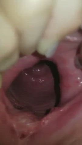 Gape Gaping Pussy gif