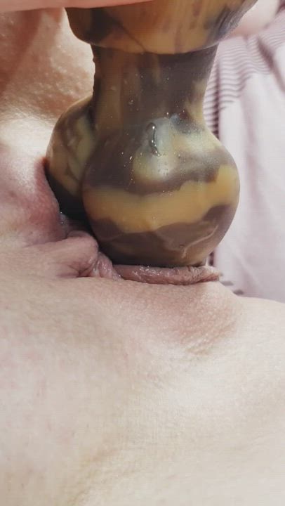 Bad Dragon Dildo Gape Gaping Pussy Pussy Lips Pussy Spread gif