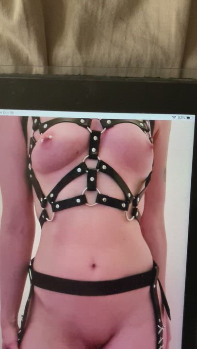 Cum Tribbing Tribute gif