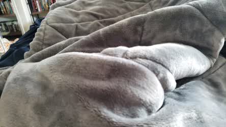 Male Masturbation Solo Tease gif
