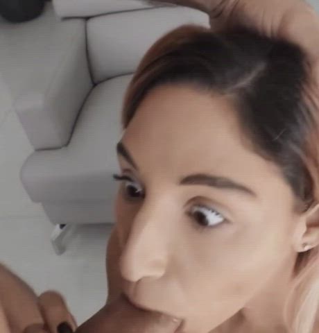 Abella Danger Babes Balls Big Dick Blowjob Close Up Licking Pornstar Sucking gif