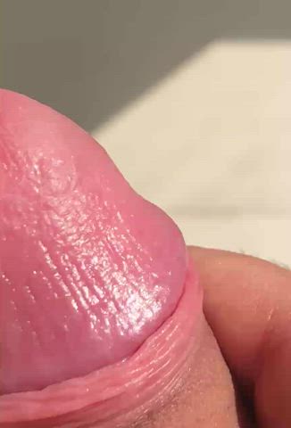 foreplay foreskin kissing cock gif