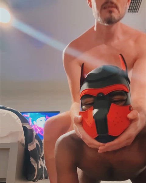 anal humping interracial puppy gif