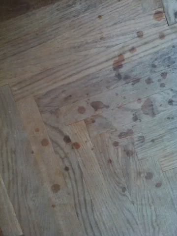 Amateur Cumshot Floor Sex gif