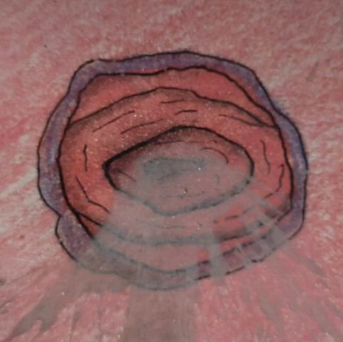 anal anal creampie animation asshole creampie creamy cum messy wet and messy gif