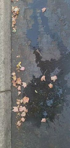 nsfw outdoor pee public gif