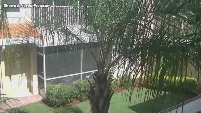 nude nudity wife gif