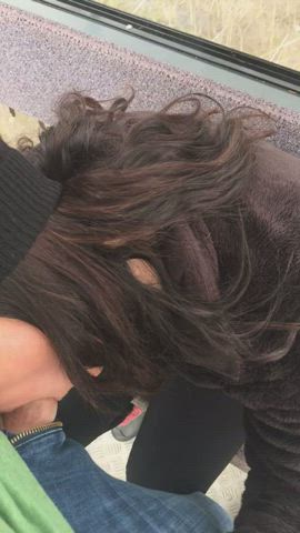 amateur blowjob public gif