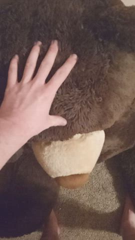 bear sex toy gif