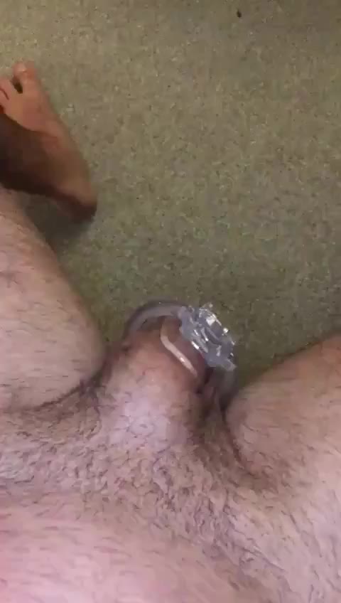 The cuck life