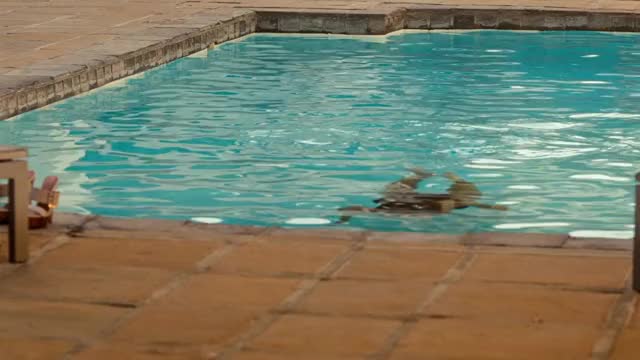 /r/celebrityplotarchive - Natalie Becker in Strike Back (TV Series 2010–2017) [S03E03]
