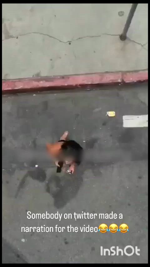 escort funny funny porn happy ending prostitute gif
