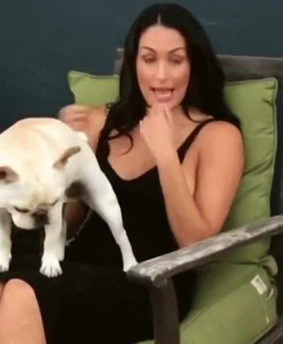 Nikki2