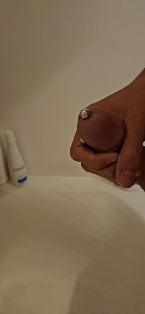 big dick circumcised cock cum cumshot masturbating pierced real-cock gif