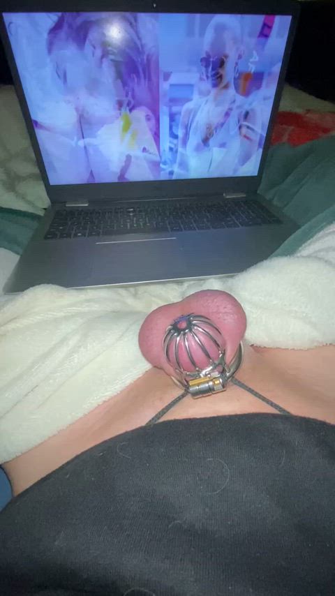 ballplay chastity gooning sissy watchingporn gif
