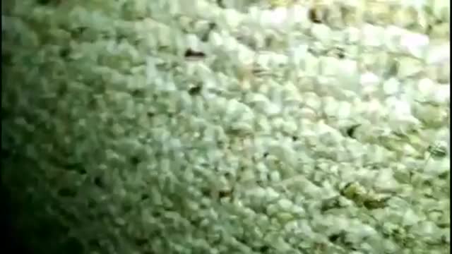 Real Mom Son Caught Fucking- AUDIO