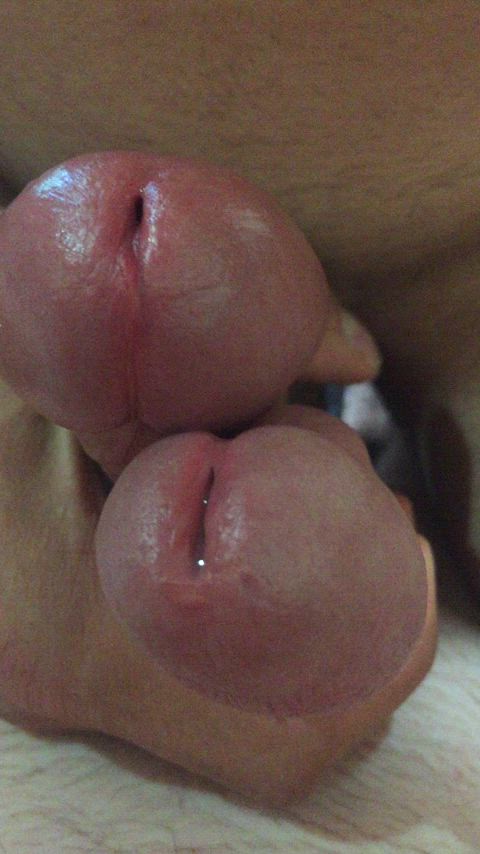 amateur frotting male masturbation gif