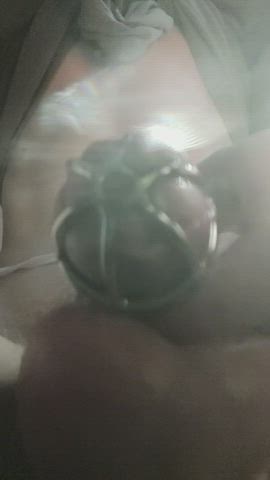 chastity precum sissy gif