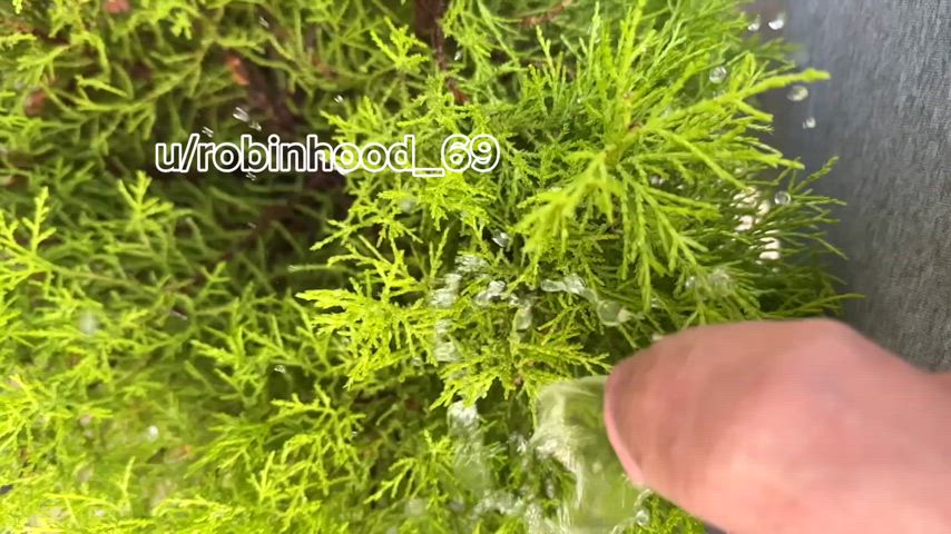 Dancing with Drops