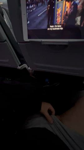 snakes on a plane