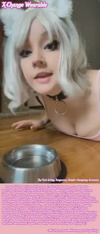 Michel, now Mittens, pretty kitty [NNN #4: Trapped]
