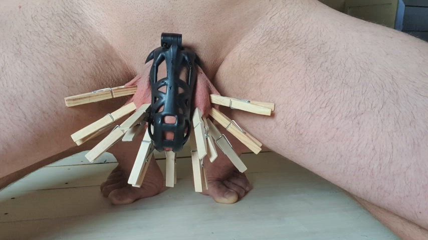bdsm chastity cock male gif