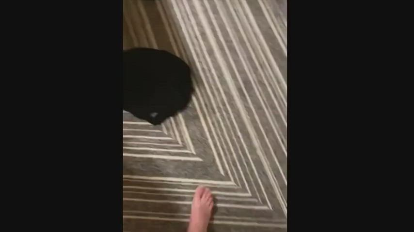 asmr anal cheating cosplay hotwife norwegian stockings tattoo tight pussy gif
