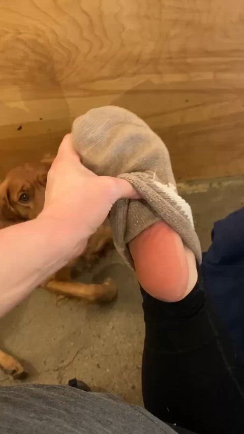 feet feet fetish foot foot fetish soles toes gif