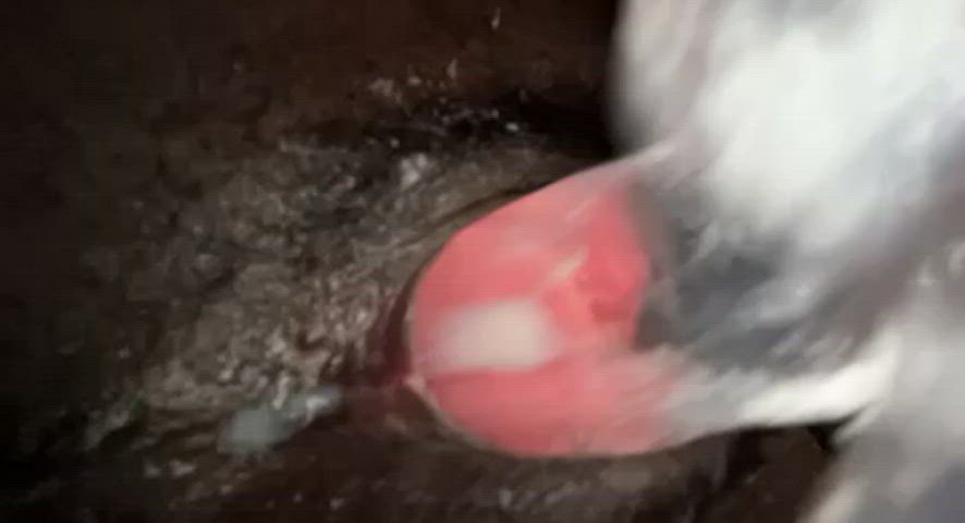 Fucking my tight little hairy teen pussy under the covers so my parents can’t hear