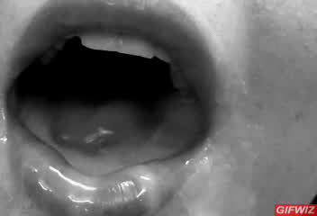 blowjob creampie eating cum cum in mouth cum swallow cumshot gif