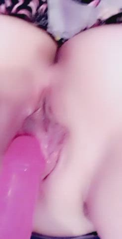 Amateur Dildo OnlyFans Pussy Solo Teen gif