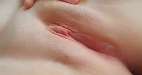 Labia Pussy Lips Pussy Spread gif