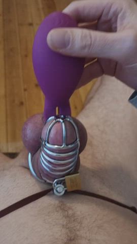 My little caged cock can cum in his prison!