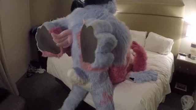 horny furry rabbits head back to their room to yiff