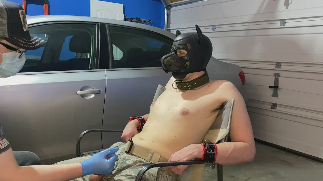 Inspecting my military working pup and giving him a long milking session ?