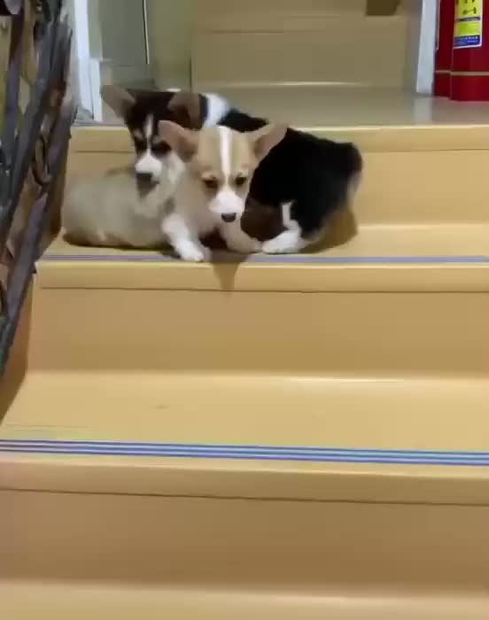 pushingfriendoffcliff