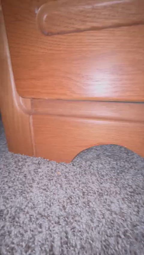 big ass doggystyle vlog gif